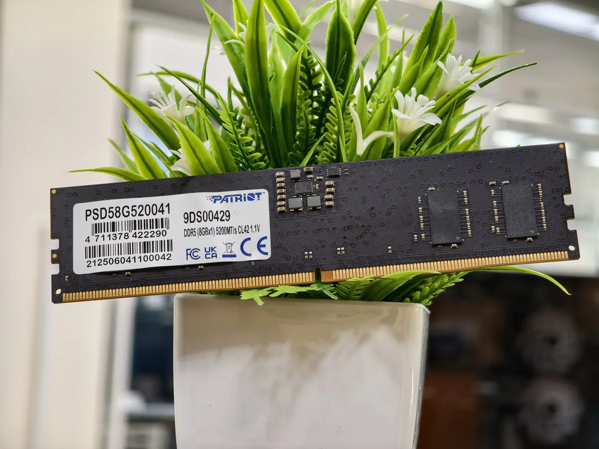 Patriot 8 Гб DDR5 5200 МГц - фото 1