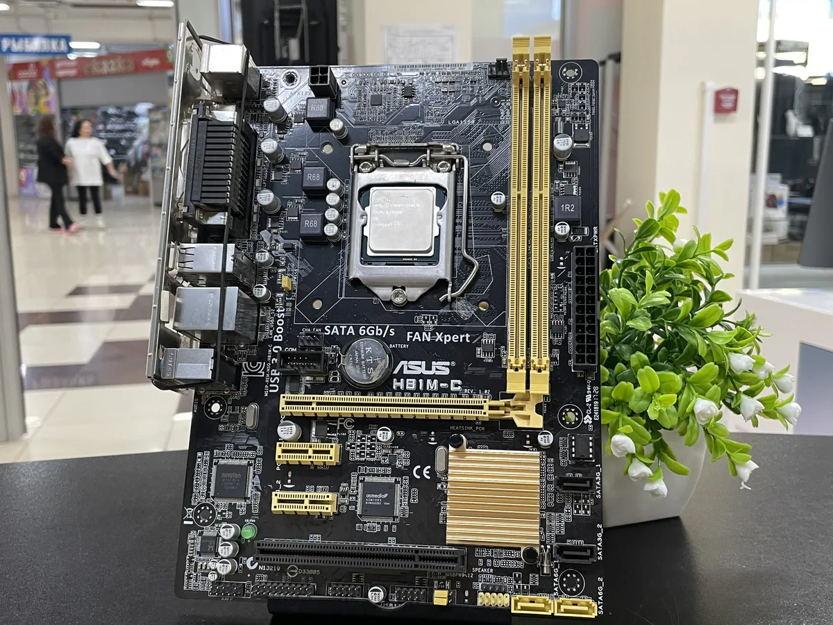 Комплект ASUS H81M-C + Intel Core i3-4170 (LGA1150) - фото 1