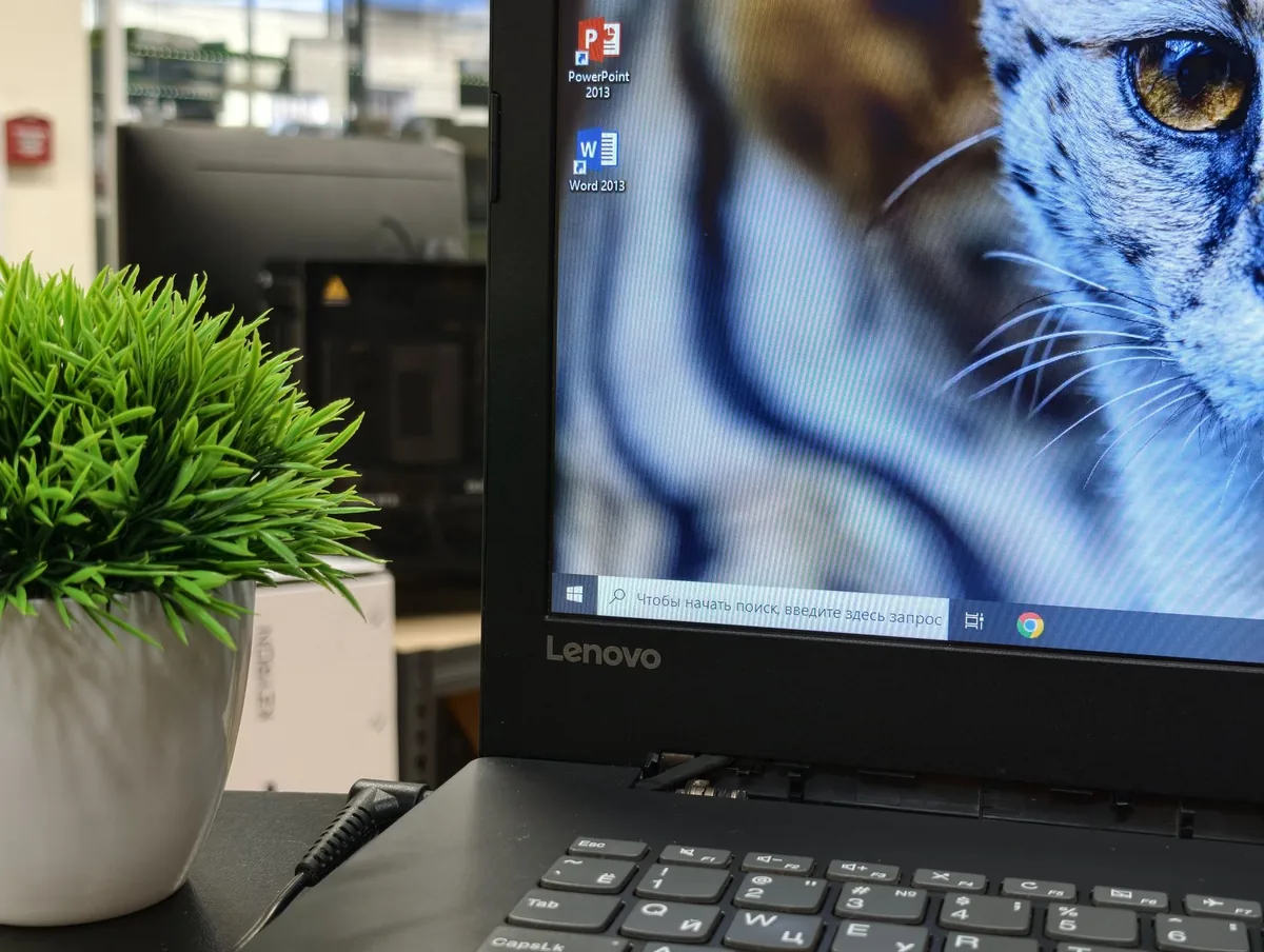 17.3″ Ноутбук Lenovo AMD A9-9420 / Radeon 530 - фото 2