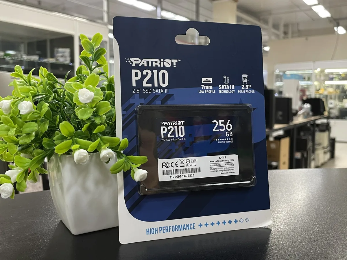 256 ГБ 2.5″ SATA накопитель Patriot Memory P210 - фото 1