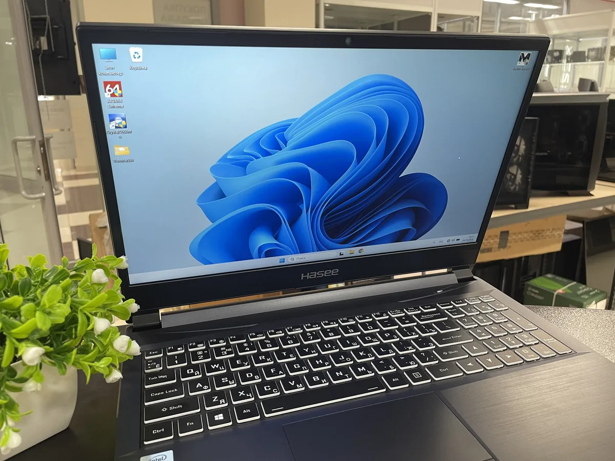 15.6″ Ноутбук Hasee (Z7M-CU5NB) i5-10300H / GTX 1650 4 ГБ - фото 1