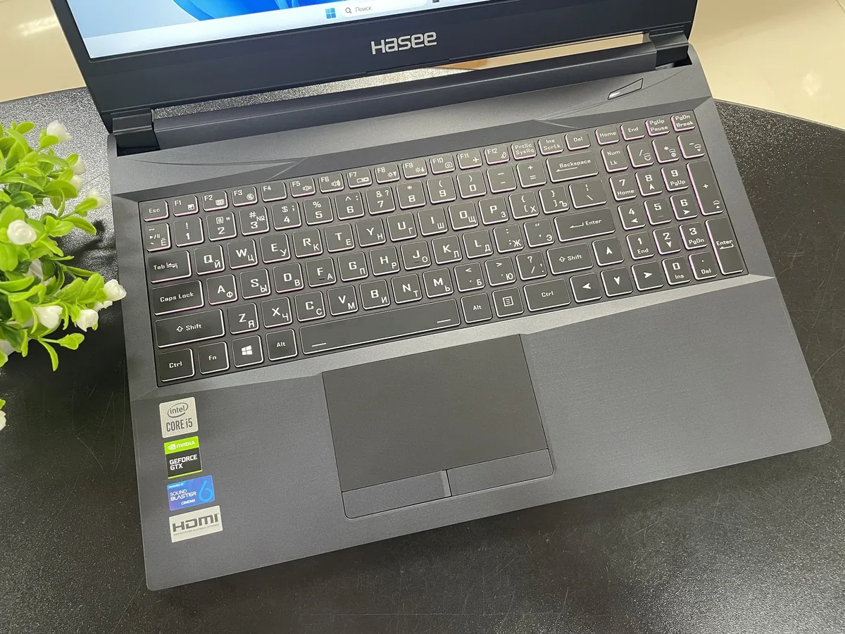 15.6″ Ноутбук Hasee (Z7M-CU5NB) i5-10300H / GTX 1650 4 ГБ - фото 2