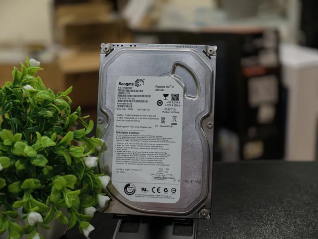 Seagate 3.5″ 250 ГБ (ST3250310CS) - товар в Нижнекамске